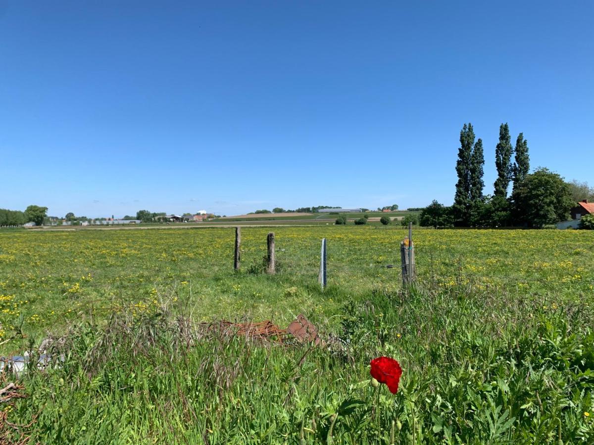 Koekeloeren Villa Hooglede Exteriör bild